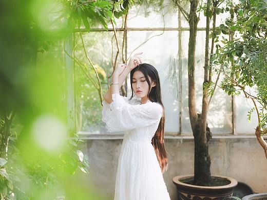 白茶清欢无别事,我在等风也等你。