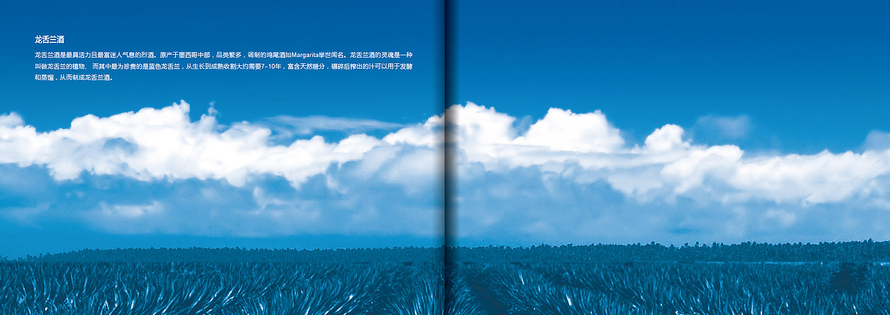 产品手册设计（图ZMjMyNTA0OTY=） - 书籍/画册 - 站酷设计师kate800215原创素材 - 站酷ZCOOL
