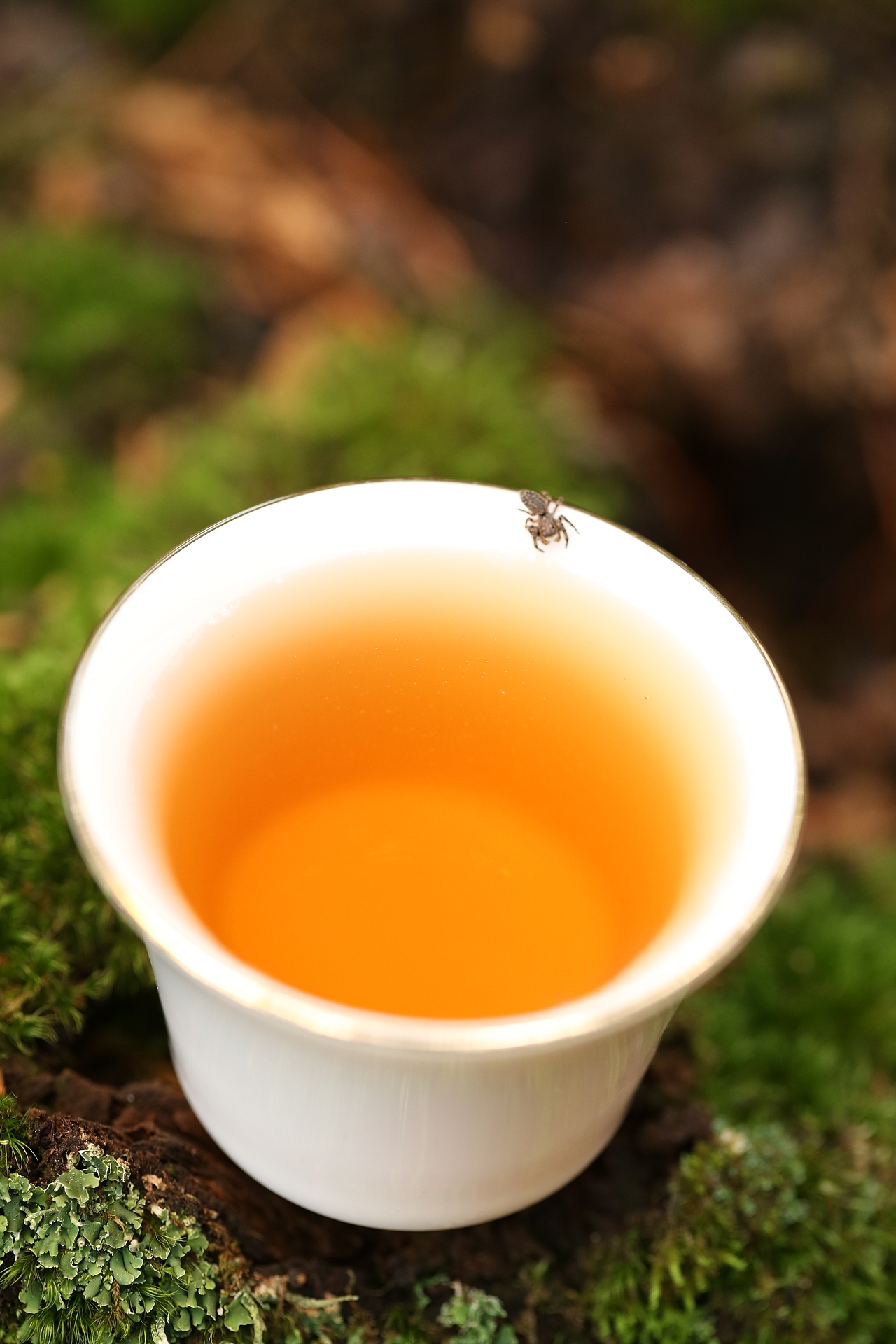 超自然的一杯茶