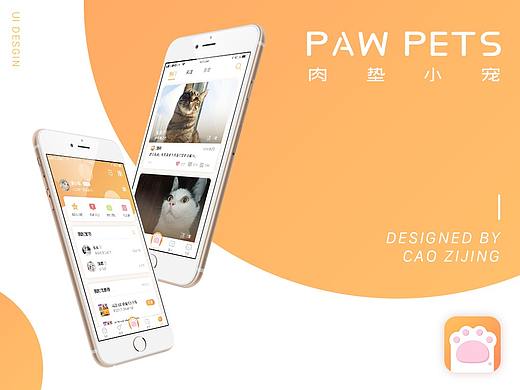 PAWPETS肉垫小宠app设计