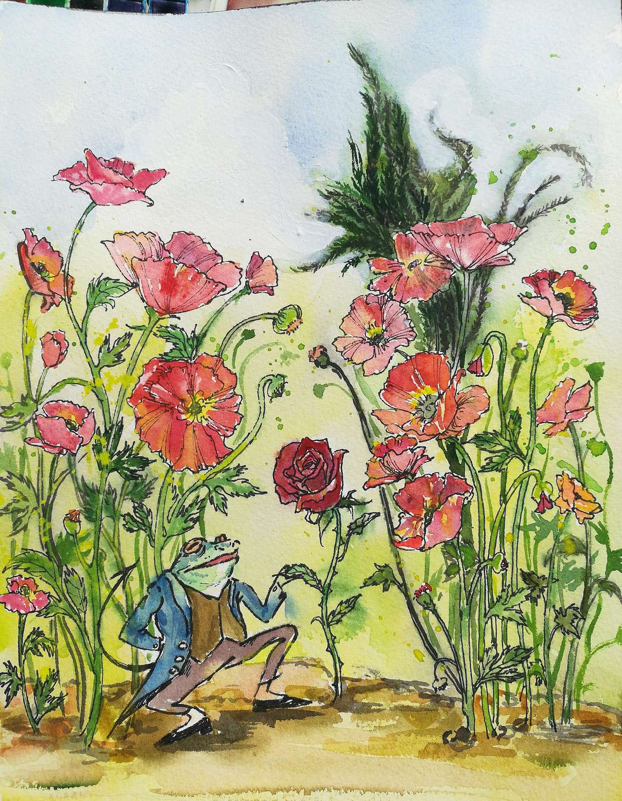 宫泽贤治童书内插(已商用)