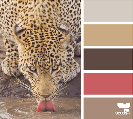 美丽的配色卡啊——04