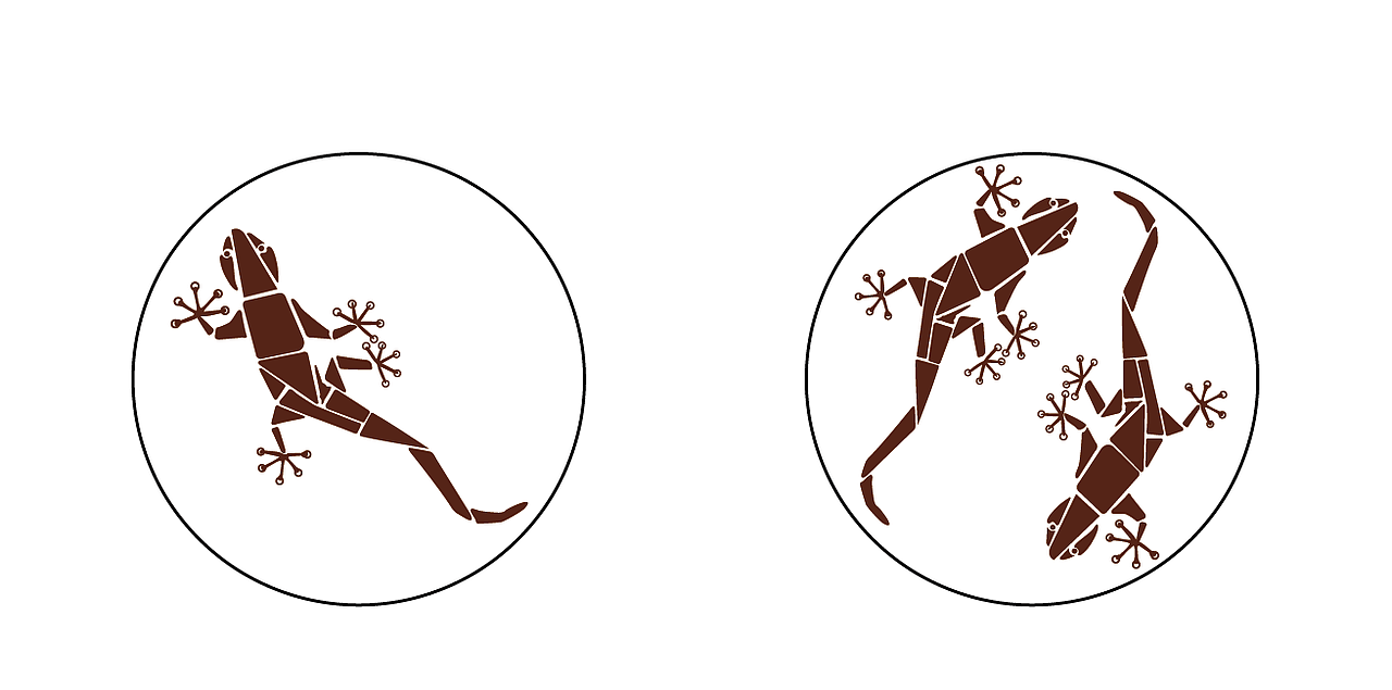 壁虎抽象画（图ZODc5ODYyNDg=） - 商业插画 - 站酷设计师1881414F原创素材 - 站酷ZCOOL