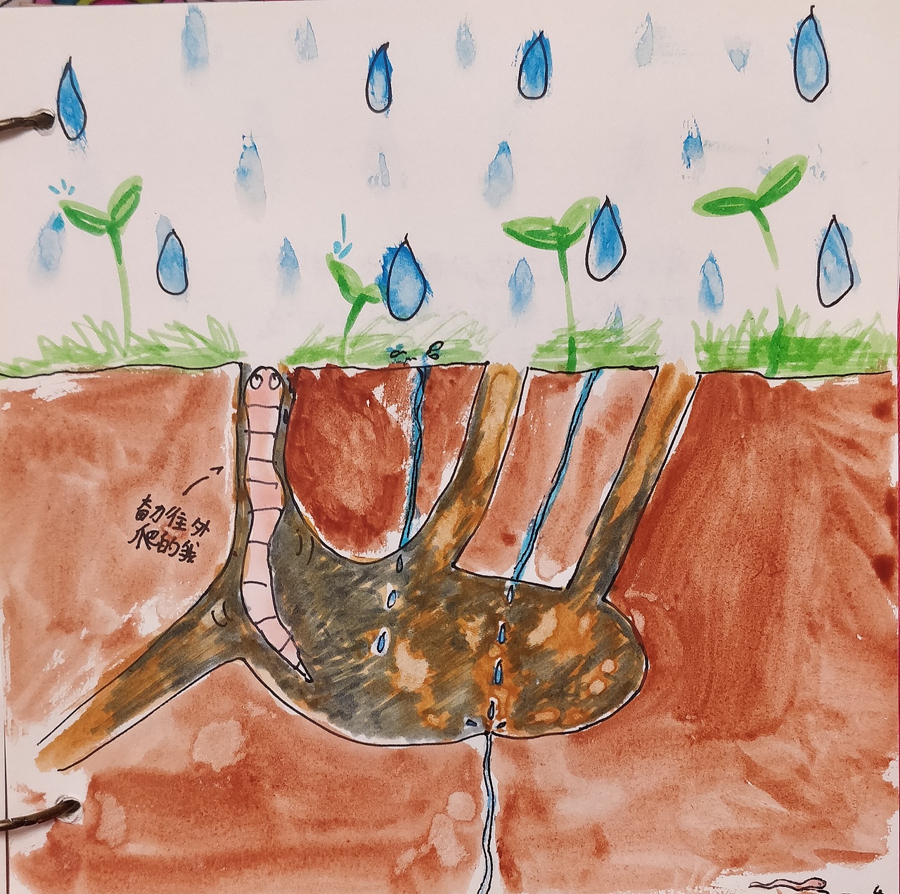 一只幸福的蚯蚓