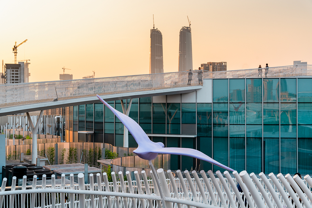 在大大的城市里,你常常会梦到什么?