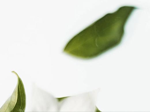 六角瓶-试用装包