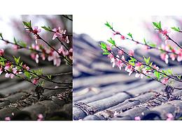 講師-小豆子人像修圖 精修 攝影后期