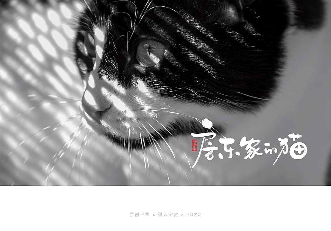 手写字体设计7月（图ZMjE4MzQzNDg0） - 字体/字形 - 站酷设计师孤芳字赏原创素材 - 站酷ZCOOL