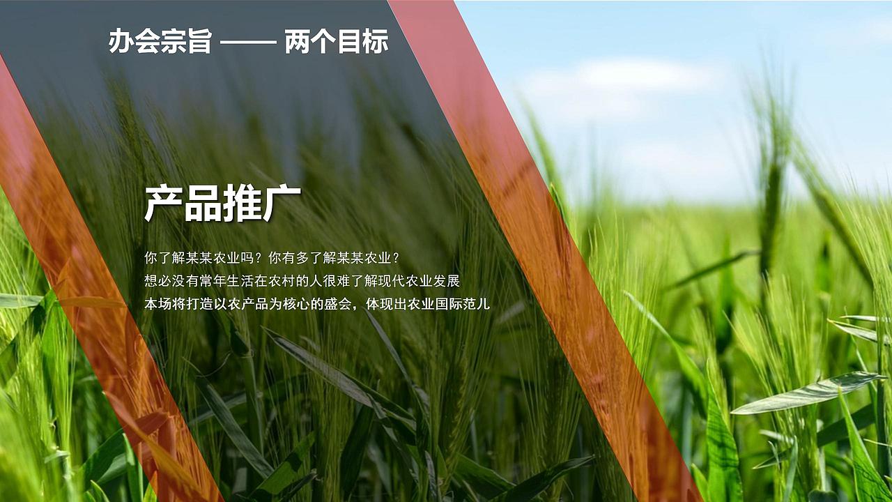 2018商南县农特产品春季展销推介会活动策划.