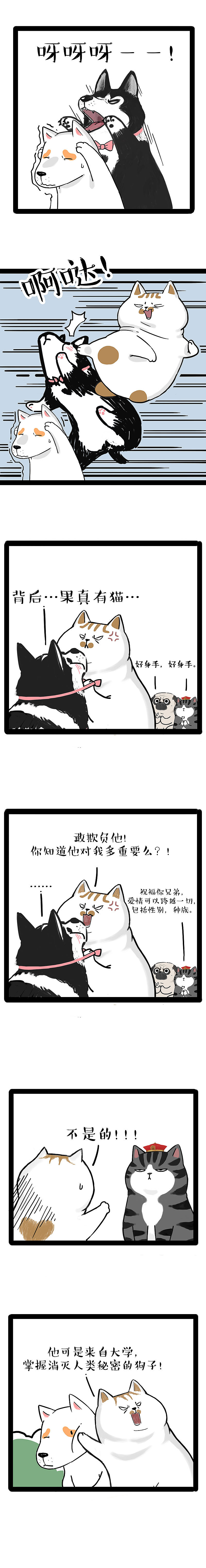 无论你在哪里，我在原地等你……（图ZMTg1NjEyNzgw） - 中/长篇漫画 - 站酷设计师吾皇的白茶原创素材 - 站酷ZCOOL