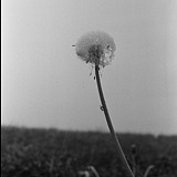设计师陈小佐的头像