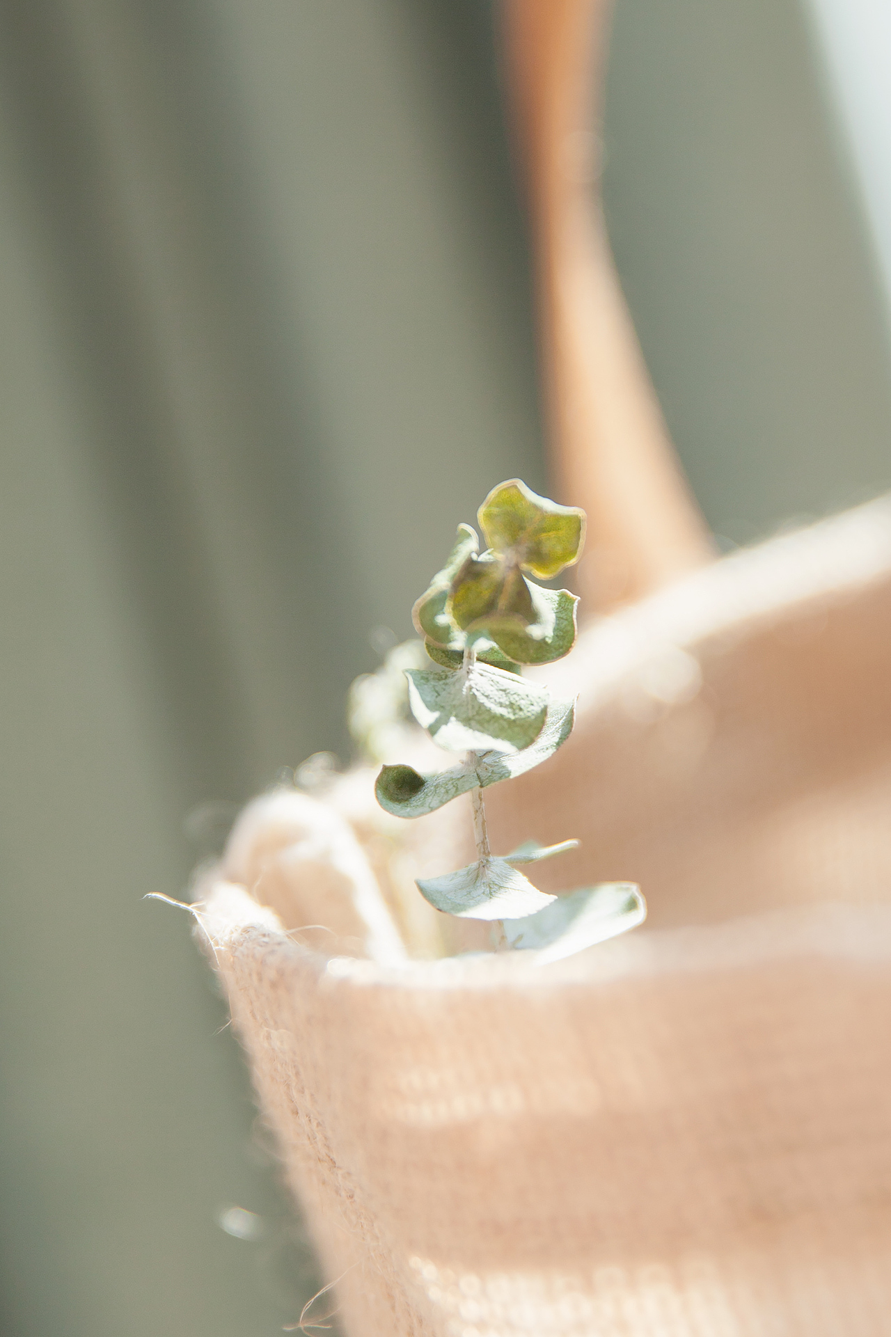 「动动小手指 大腿会变瘦」