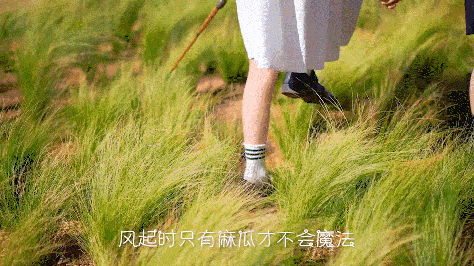 童装视频x3童装摄影童装主题视频作品集馋嘴狗乐趣文化