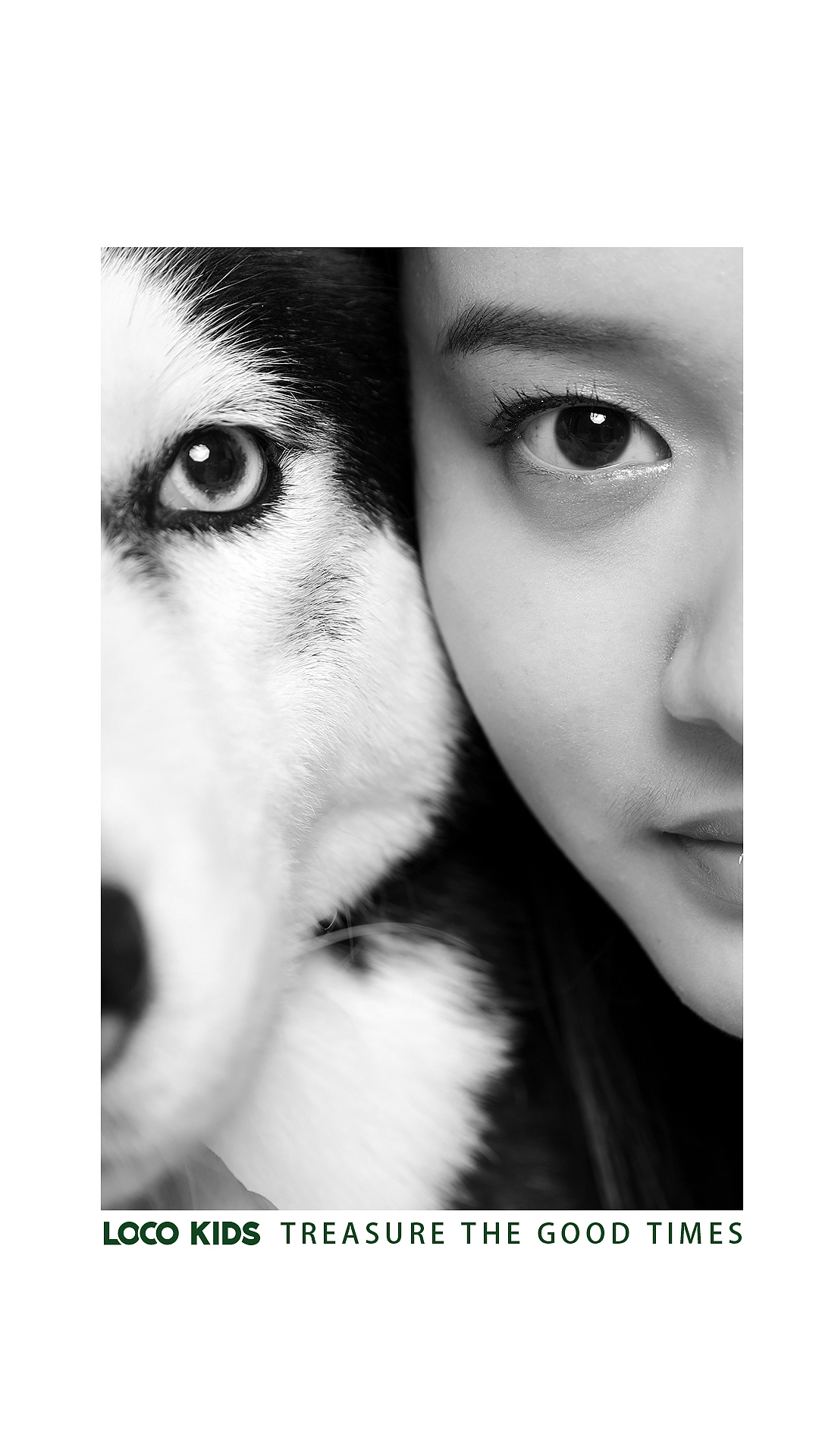 宠物摄影（图ZMTgwMjczODI0） - 宠物摄影 - 站酷设计师记不住名字的名字原创素材 - 站酷ZCOOL