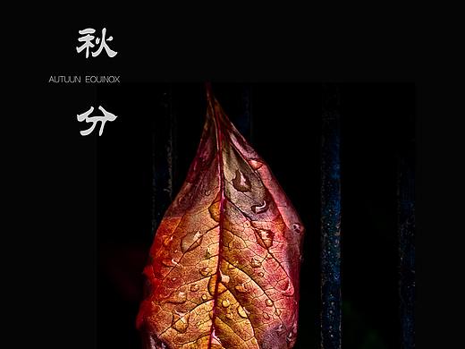秋分（个人主页-ZMzAzMjUwNjQ=） - 海报 - 站酷设计师谎友原创素材 - 站酷ZCOOL