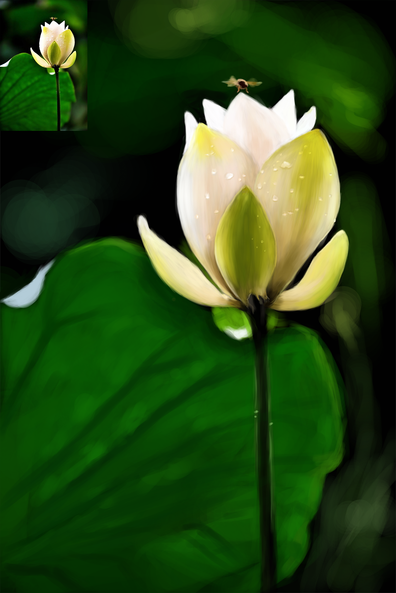 手绘练习（图ZMTI4NDU2ODUy） - 艺术插画 - 站酷设计师零一无泪原创素材 - 站酷ZCOOL