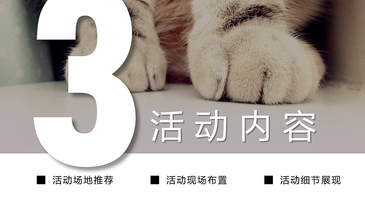 苏宁宠物相亲节（图ZMjg2OTQ5OTY4） - 其他 - 站酷设计师策划米饭原创素材 - 站酷ZCOOL