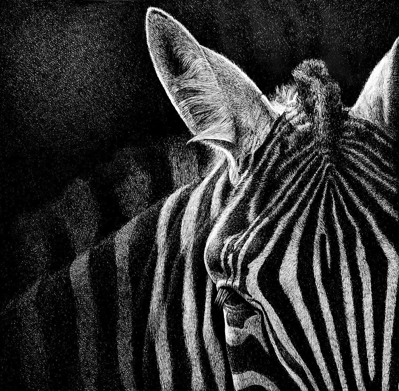 钢笔画一组动物