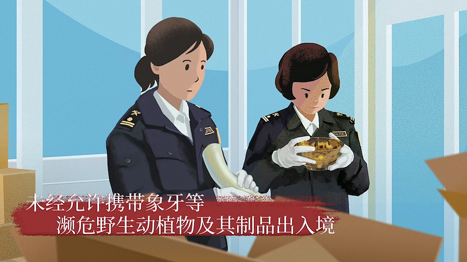 「保护濒危动物 海关在行动」 公益动画 | 画据案例