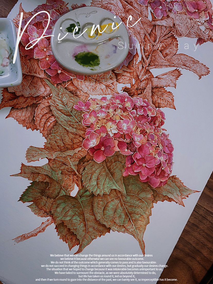 蘸水笔针管笔｜绣球花开（图ZMzUxNjI1OTI4） - 艺术插画 - 站酷设计师CatCastleDZ原创素材 - 站酷ZCOOL