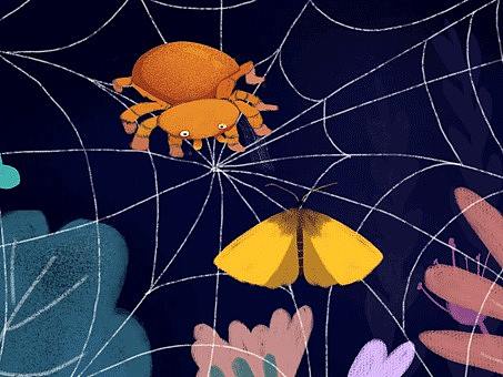 蜘蛛捕食飞蛾动态插画个人练习gif