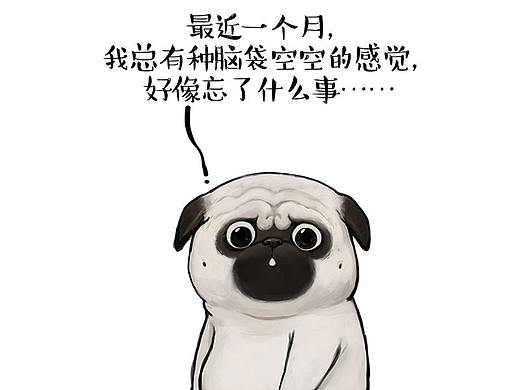 你们追问了一个多月的后续来了（但没完全来）