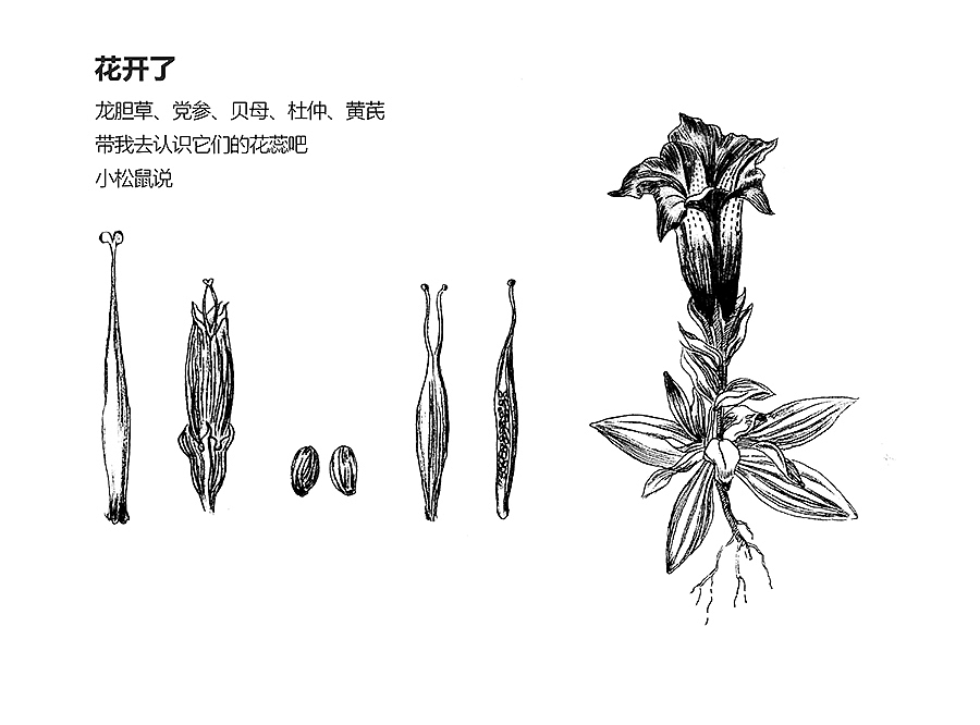 刘蜜书包装设计:指挥家和他的《森林的甜蜜曲》