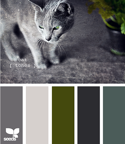 网页实物配色——灰白系（图ZMTQ5MzU5NzY4） - 其他网页 - 站酷设计师CoolerUX原创素材 - 站酷ZCOOL