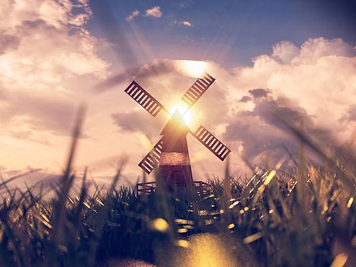 Plants, hope and light