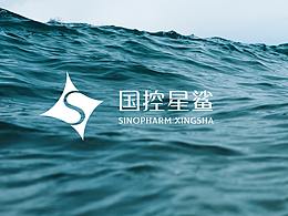云龙鱼水，星鲨闪耀