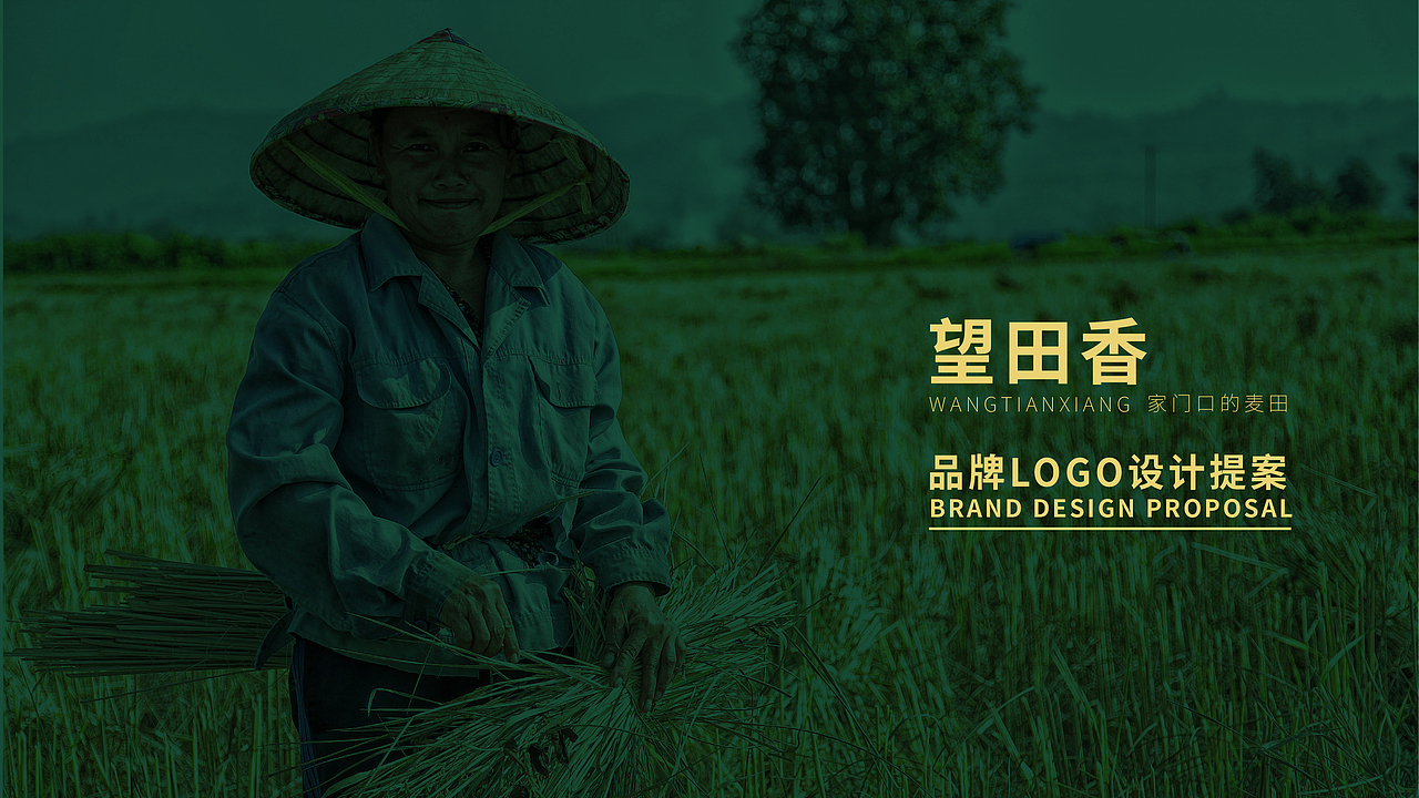 望田香品牌提案（图ZMjA1NTUxNzQ0） - 品牌 - 站酷设计师鲸鱼不是怪原创素材 - 站酷ZCOOL