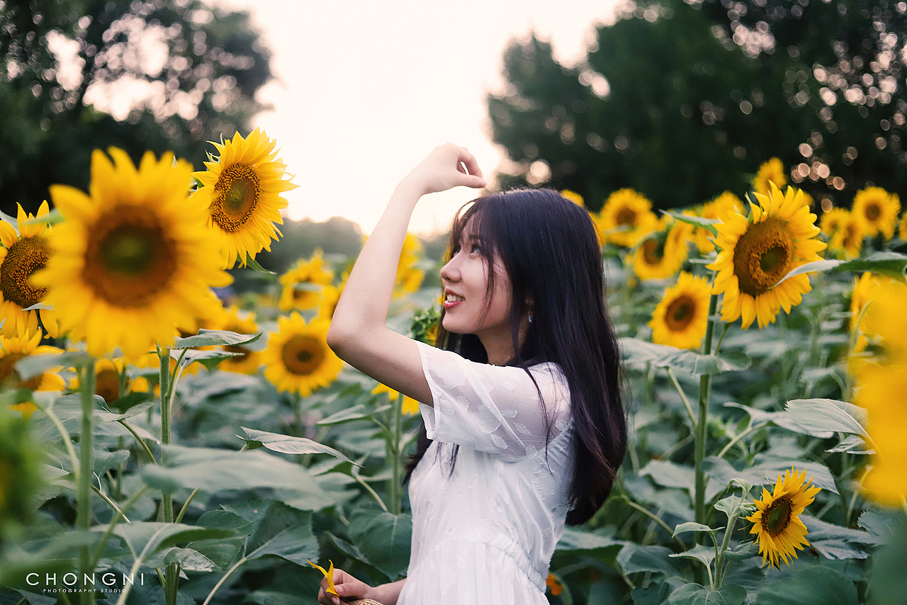 这个季节,向日葵和你一样绽放美丽