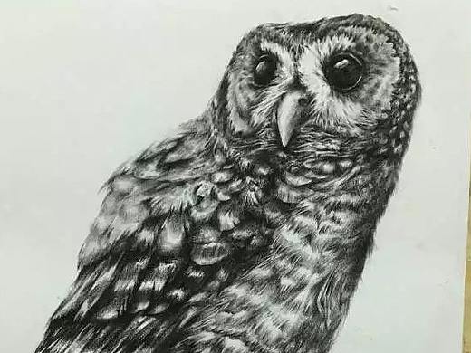 怀念那时候，学校的素描（个人主页-ZMjk2OTUyMzY=） - 艺术插画 - 站酷设计师xiu吱吱原创素材 - 站酷ZCOOL