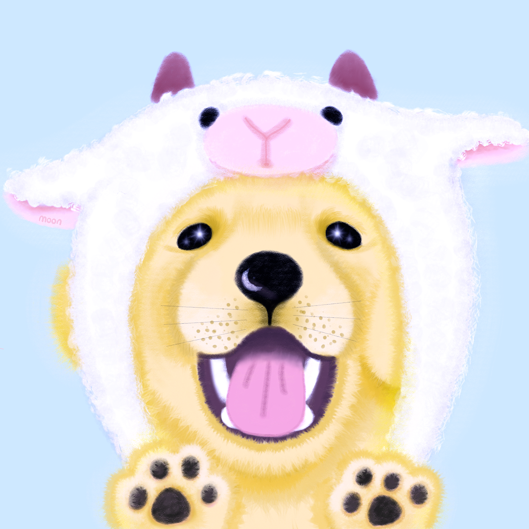 手绘头像 戴着羊帽的金毛