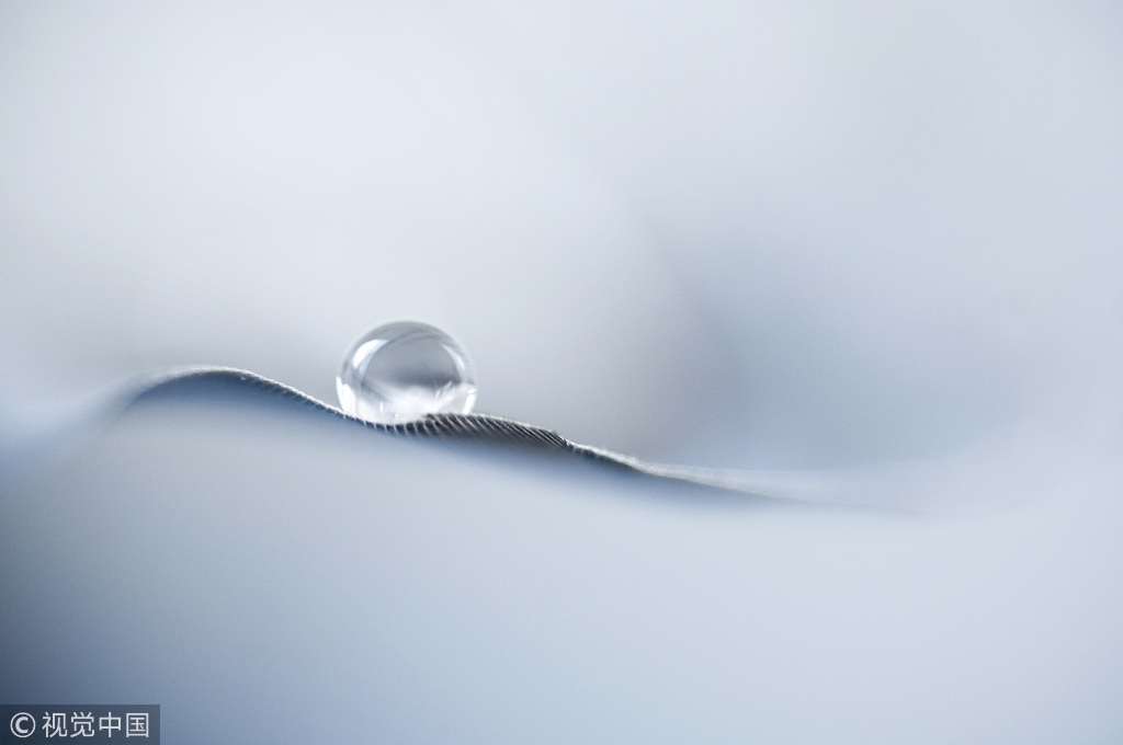 小糯米乖的个人主页（背景预览） - 主页背景设置 - 站酷设计师小糯米乖原创素材 - 站酷ZCOOL