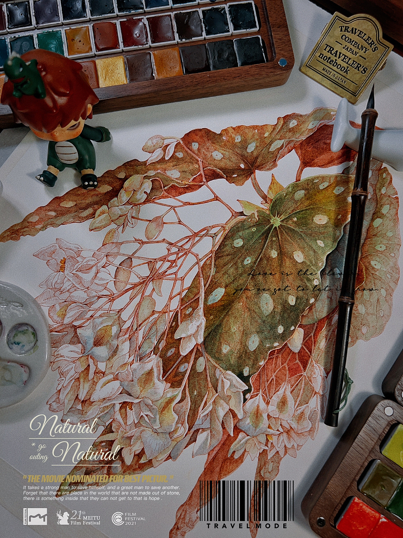 蘸水笔针管笔|鳟鱼秋海棠