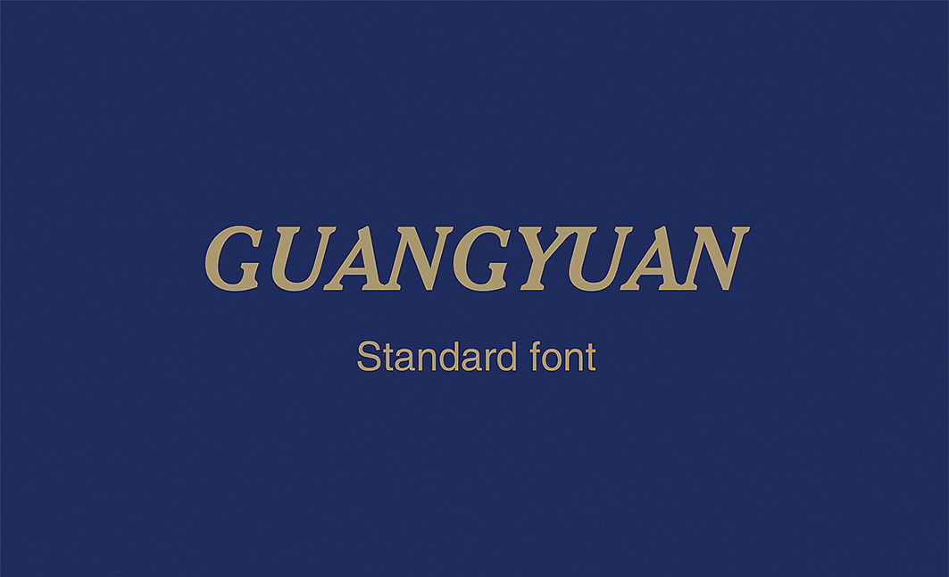 福建广源投资标志/VI提案