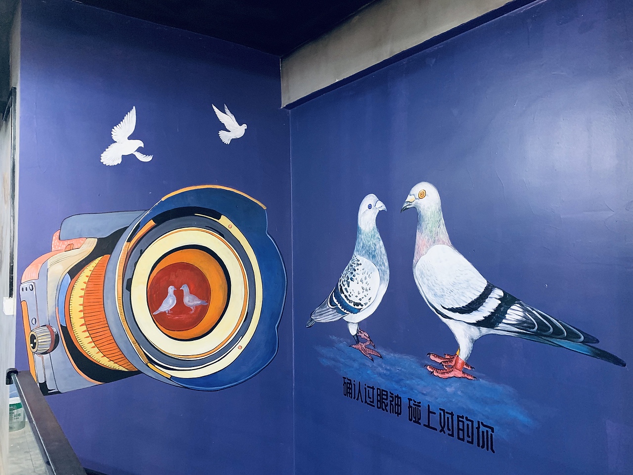 鸽子餐厅墙体彩绘_堇墨墙绘-站酷zcool