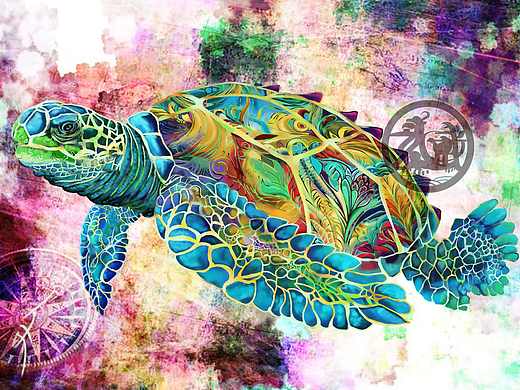 欧美剪贴画—海龟