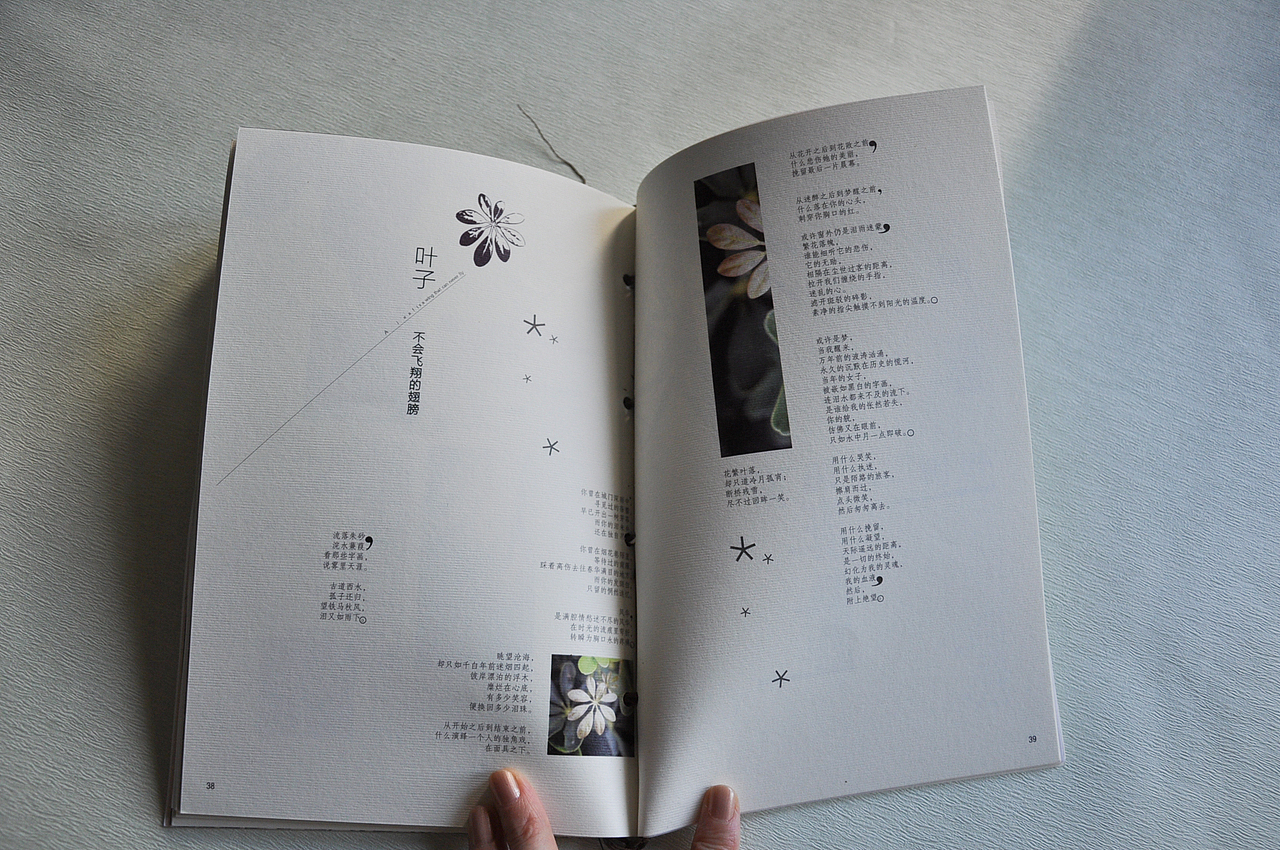《岁暮木》（图ZMTc4ODY3NTA4） - 书籍/画册 - 站酷设计师常露露原创素材 - 站酷ZCOOL