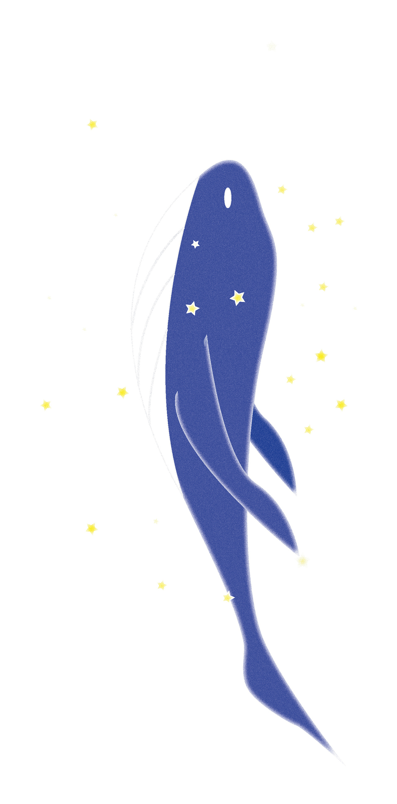 鲸鱼|平面|图案|巫巫喵 - 原创作品 - 站酷 (zcool)