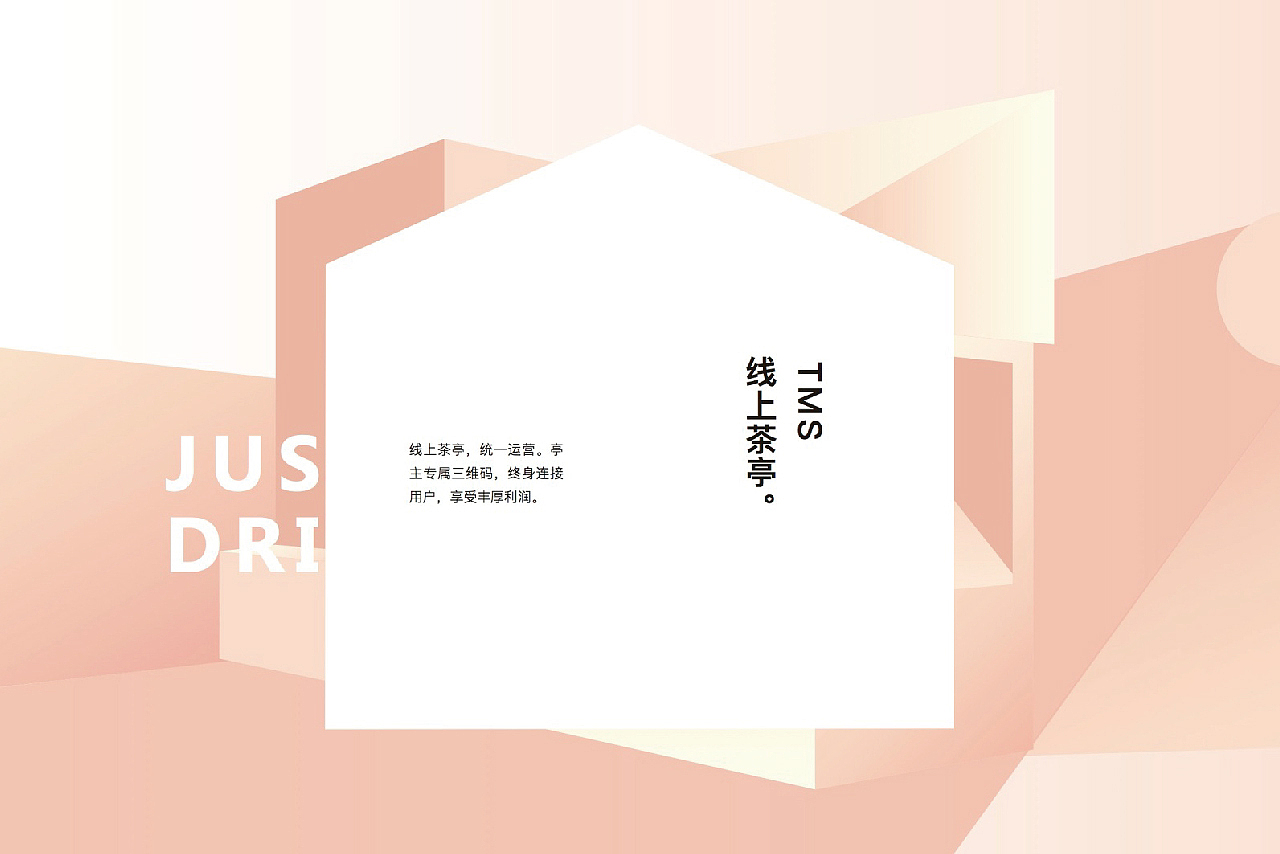 白茶品牌 TMS太姥山（图ZMTM0ODk3Mzg4） - 品牌 - 站酷设计师正杨品牌咨询MUAD原创素材 - 站酷ZCOOL