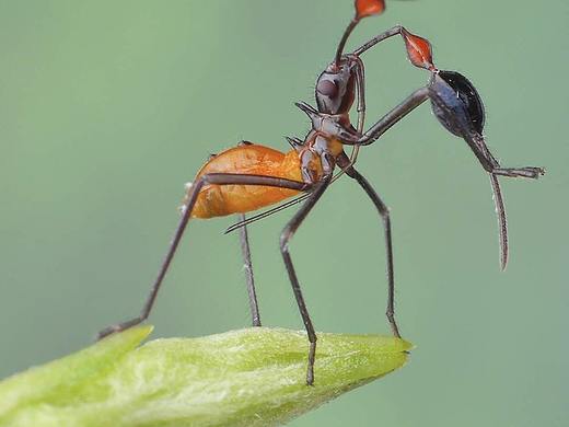 摄影作品第二期