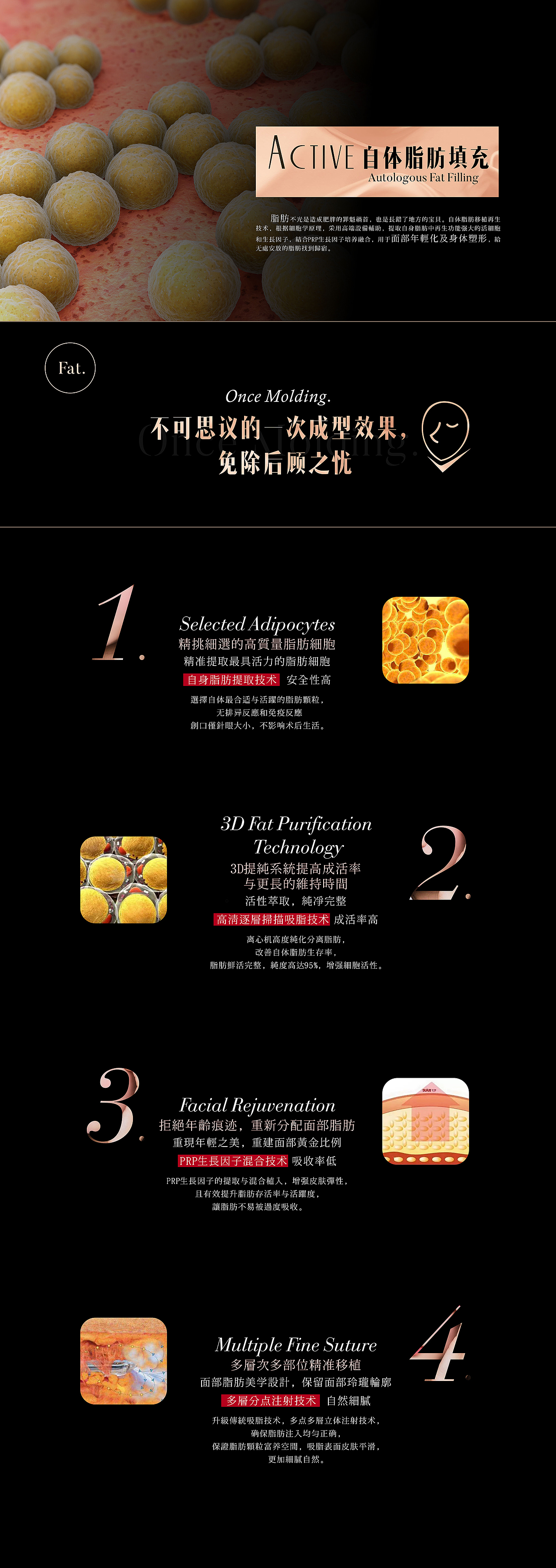 整形医院网站-原创-黑金