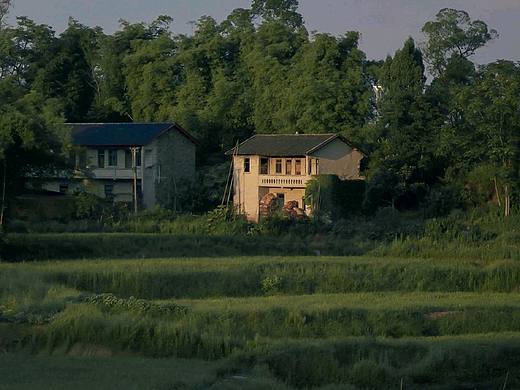 希望自己也是一颗星星