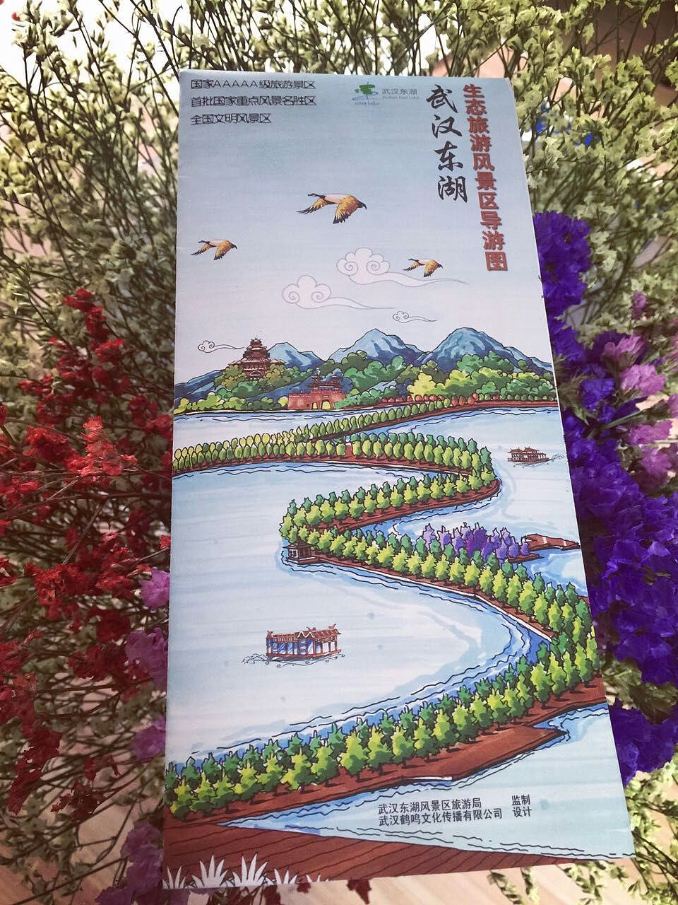 武汉东湖手绘地图绘林设计