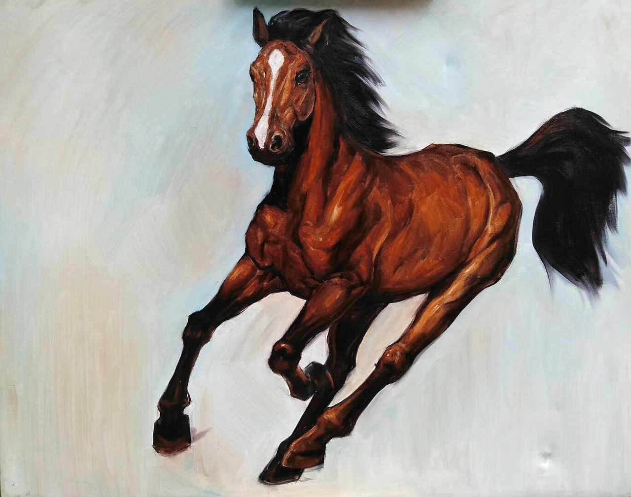 宠物画家刘诗洋