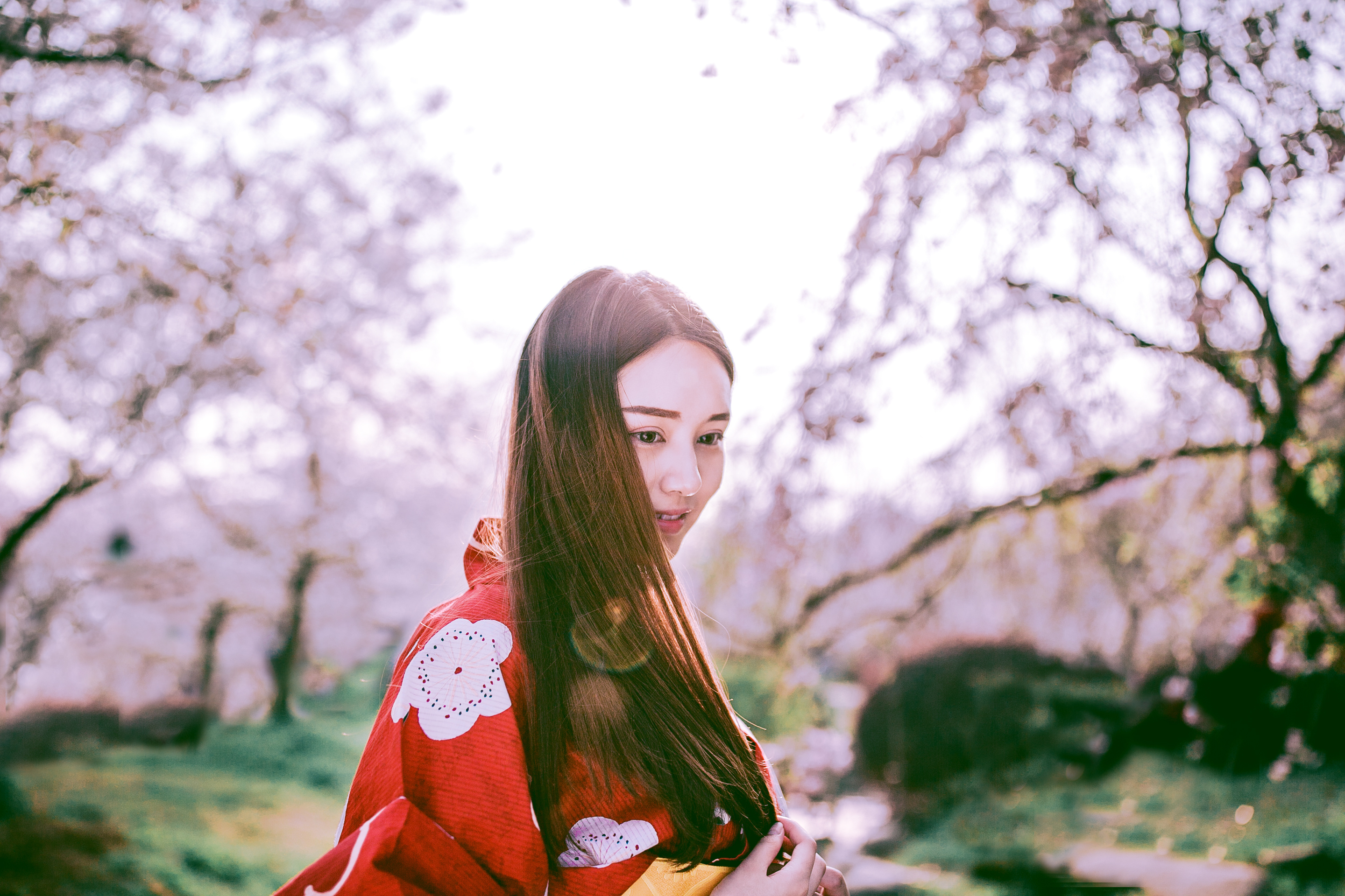 【春の颜】樱花和服写真|摄影|人像摄影|suansuan33 - 原创作品