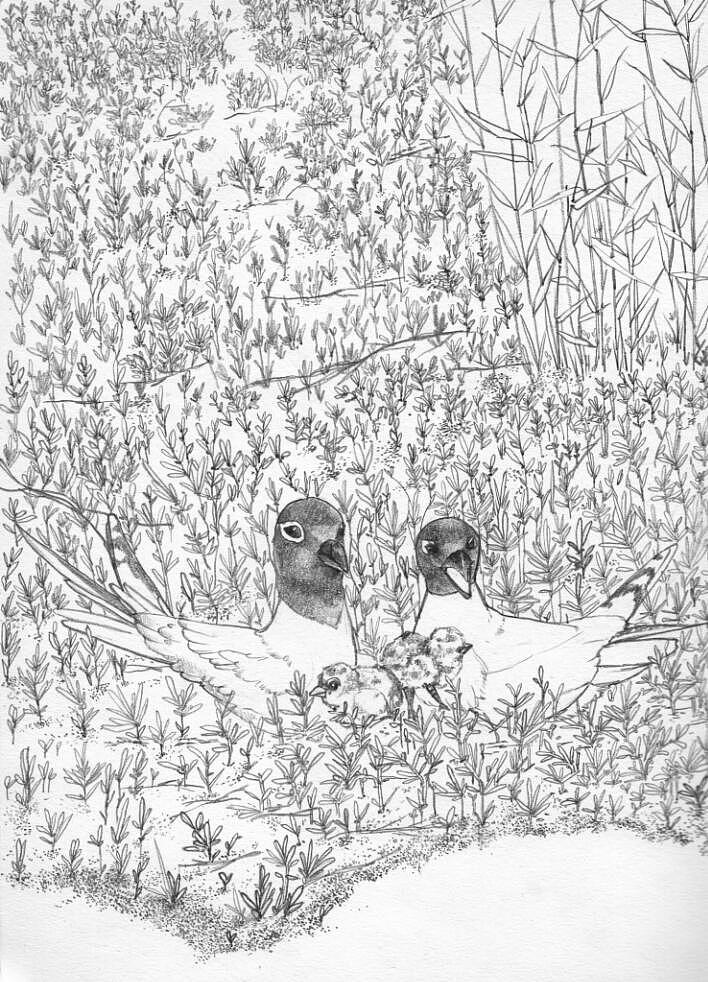 紅海灘之圓境印象（圖ZODI0MDQxNDg=） - 藝術(shù)插畫 - 站酷設(shè)計師米果migour原創(chuàng)素材 - 站酷ZCOOL