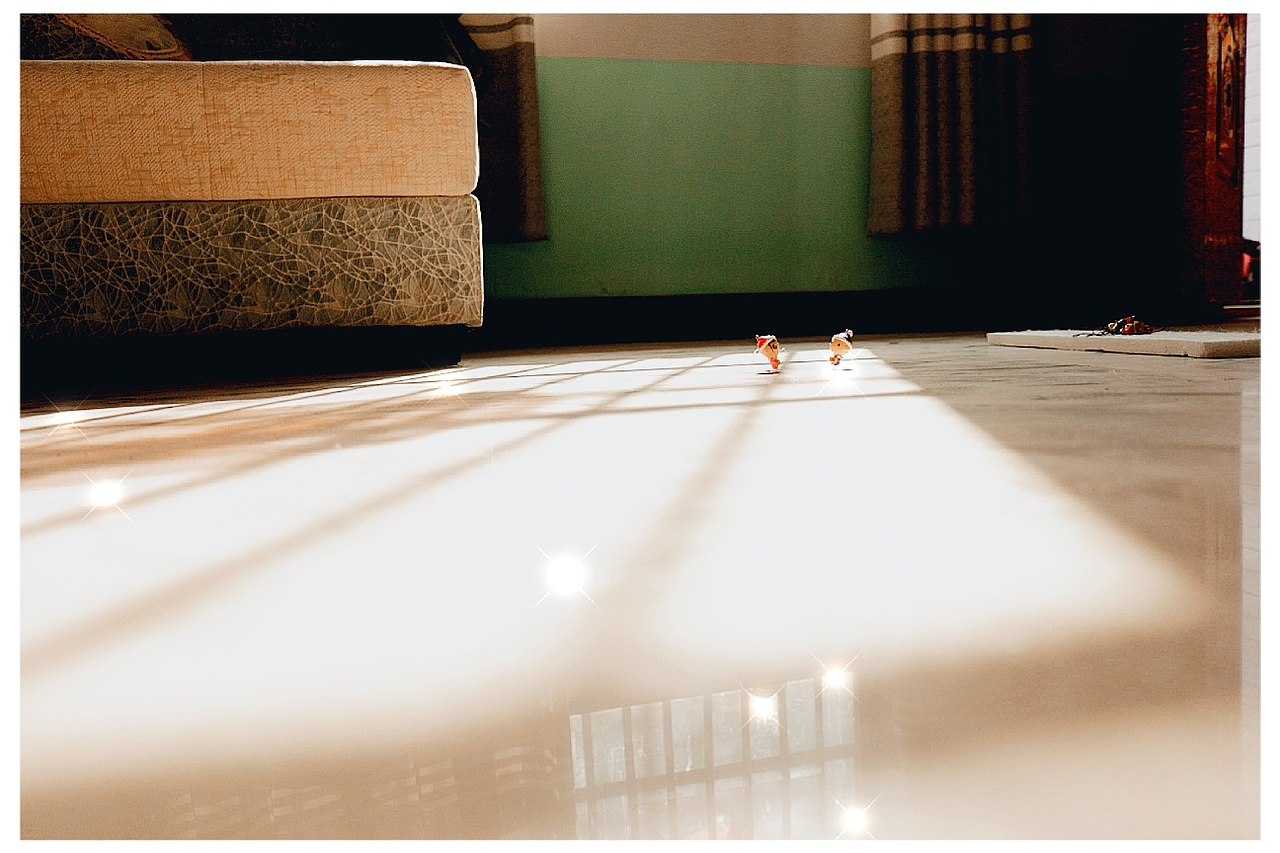 摄影小白……嘻嘻